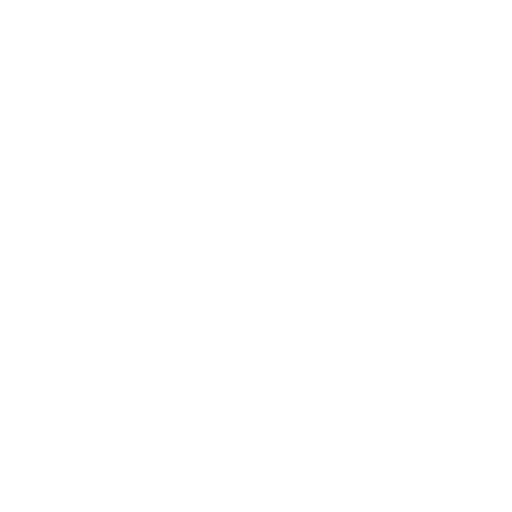 Timoor Nurzhanov Logo